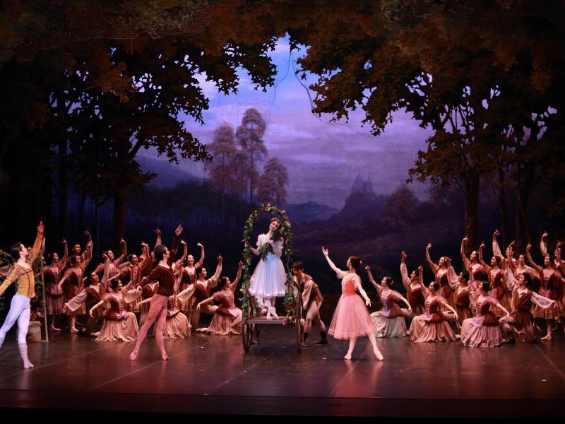 Ballet in forest backdrop. 